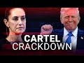 Trump Humiliates Mexico S President Says She Is Scared Of Cartel After Rejecting US Military Help