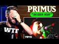 Bass Teacher REACTS to PRIMUS - "Lacquer Head"