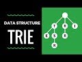 Trie Data Structure (EXPLAINED)