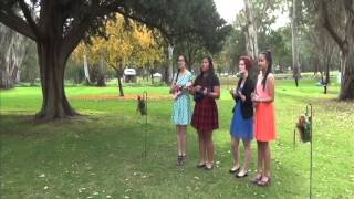 The Ukeladies - 'Can't Help Falling In Love' Wedding Performance