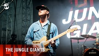 The Jungle Giants - 'A Pair Of Lovers' (triple j's One Night Stand 2014)