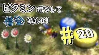 【ピクミン2】ピクミン増やして借金減らせ！# 20