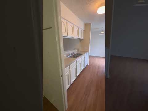 12504 Tree Line Dr - Video 2 of 2