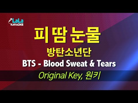 BTS (방탄소년단) - 피 땀 눈물 (Blood Sweat & Tears) / LaLa Karaoke 노래방 Kpop