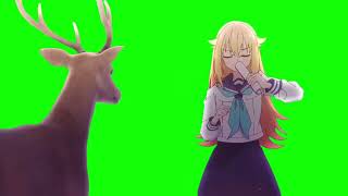 Shikanoko nokonoko koshitantan (My Deer Friend Nokotan) (deer included version) green screen