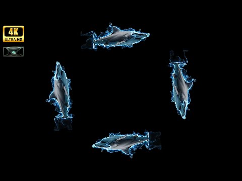 3D HOLOGRAM: ELEMENTAL BEASTS - ANIMAL KINGDOM IN FIVE ELEMENTS PYRAMID! 🌌