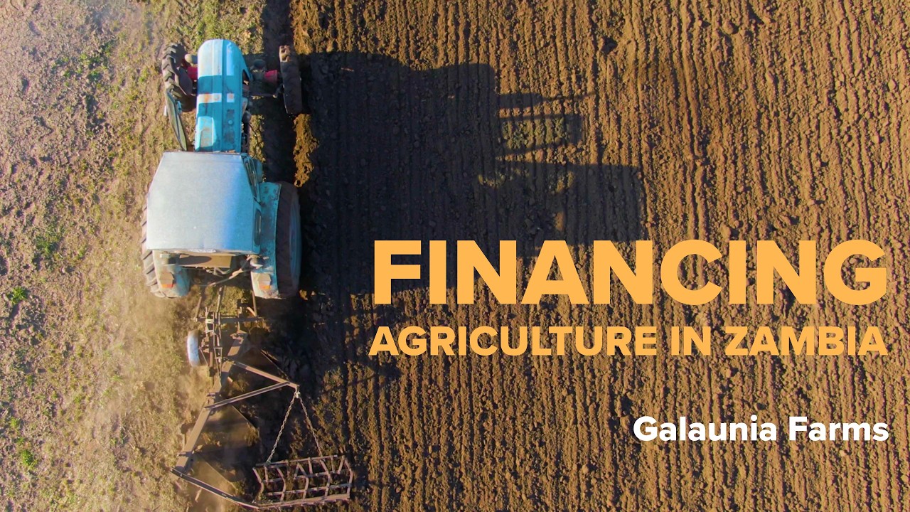 Financing for Agriculture in Zambia: Galaunia Farms