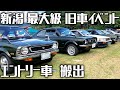 TE27トレノ クラシックカーフェスタinあがまちにエントリーしてきた 新潟�