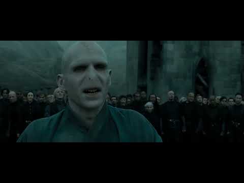 Voldemort hits the twin towers