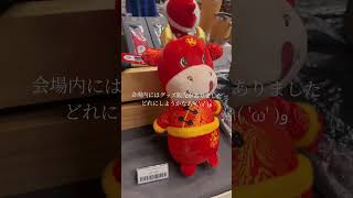 【VLOG】WPT Cambodia??Day2【Poker】