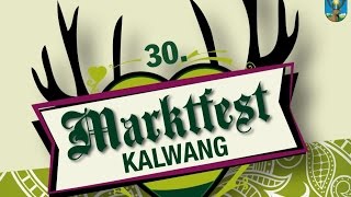preview picture of video 'Veranstaltungshinweis: 30. Marktfest in Kalwang (10.-12. Okt.2014)'