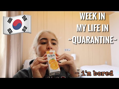 south korea quarantine vlog pt 1 (days 1-5) / room tour, what i eat in a day & bad wifi 🤠