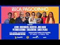Zeca Pagodinho e Amigos - Live Solidária Rio Grande do Sul