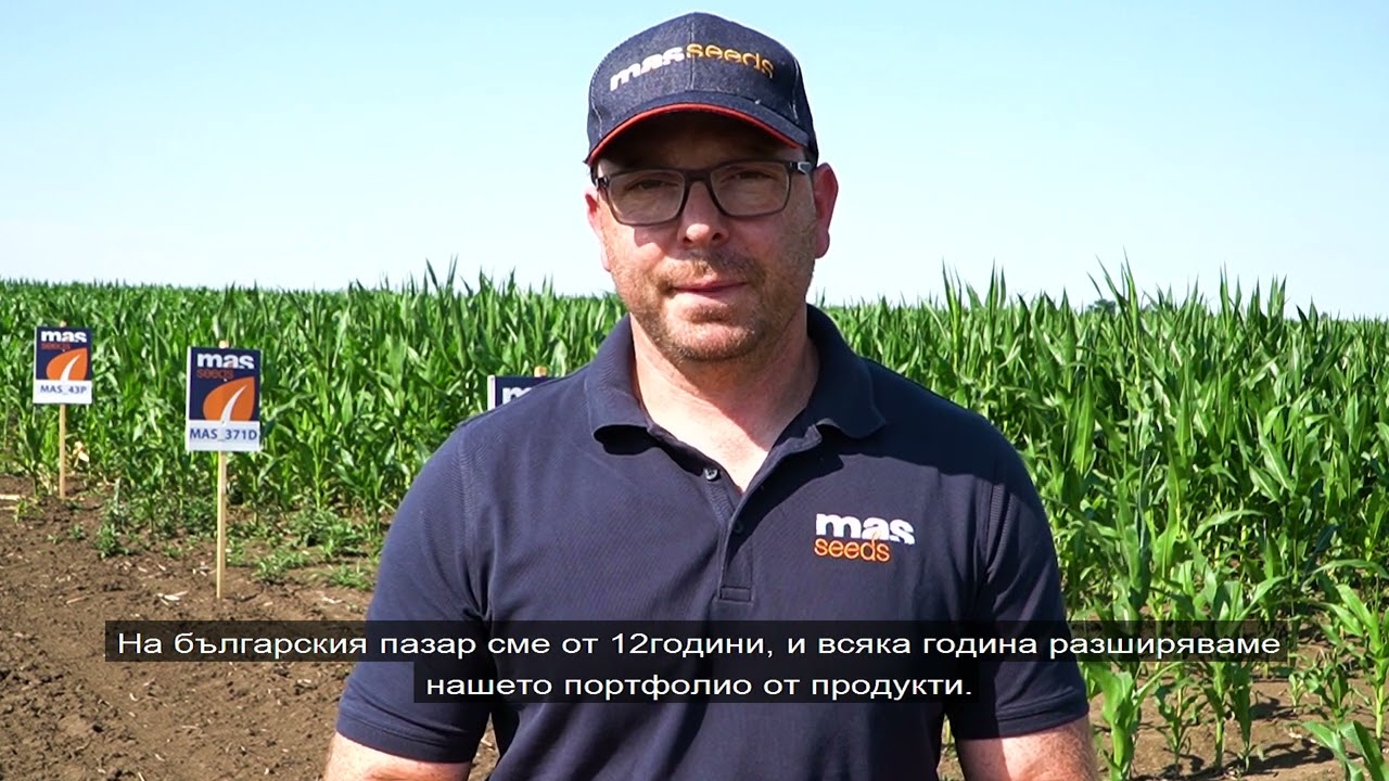 Специалисти от Mas Seeds създават бъдещето хибридите царевица и слънчоглед