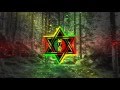 Vavamuffin - Rub rumor [Reggae Vibez] 