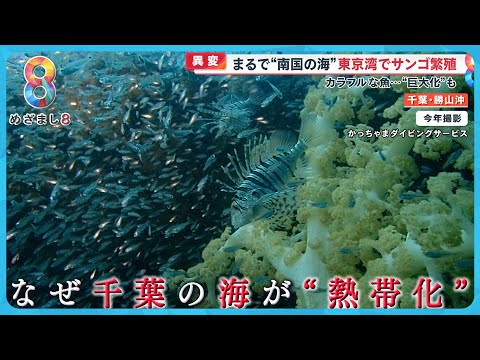 研究:メキシコ湾流は早ければ2025年にも干上がる可能性があり、その影響は壊滅的だろう
