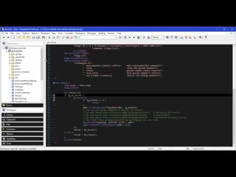 Zeus Go Delve Debugging