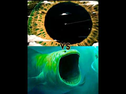 angler fish VS the Bloop,scp 169,brethren moon