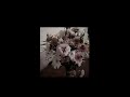 Half Return Lawn Is Dead Sped Up Reverb