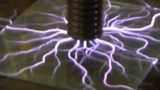 Intelligent Design or Evolution? -  Peter Mungo Jupp