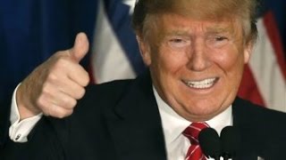 Frank Zappa   Wind Up Workin&#39; In A Gas Station