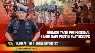 Download lagu BRIMOB DI BUMI KANDUNG WATUKOSEK mp3