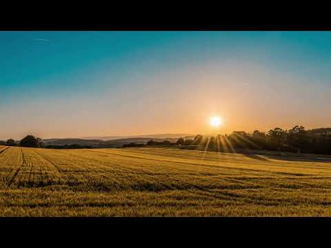 Dj Mert Özboyabatlı - Come Come(2014) موسيقى حماسية للجيم 