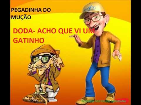 PEGADINHA DO MUÇÃO-DODA-ACHO QUE VI UM GATINHO