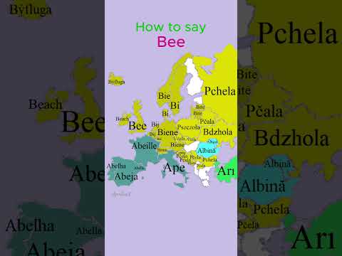 How to say Bee | Farm Animals | European Languages Comparison #shorts #comparison #language #map