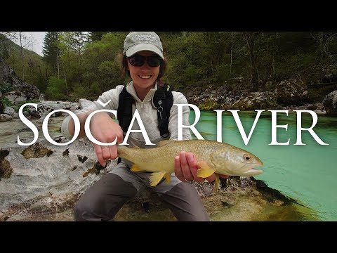Marble and Rainbow Trout | Soča River, Slovenia | Spring 2022