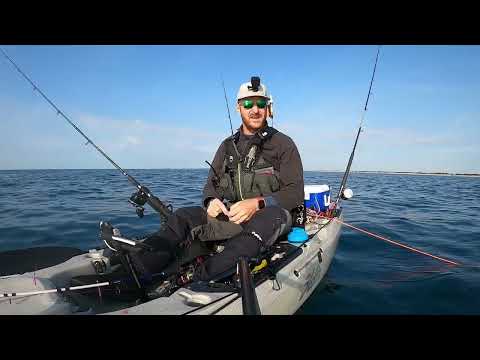 Using Mackerel for live bait in the UK - Kayak fishing