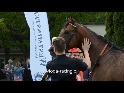 Gon. V (N. Westminster Rulera) - 13.05.2023 -  Clyde (Territories - Clariyn)