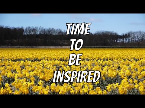 Inspired by Daffodils and Chocolates