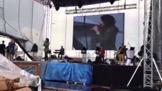 Celeste Buckingham - Hello Stranger - Nestville Open Day 20