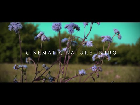 #Nature Intro l #Cinematic Video l #Sony a6100