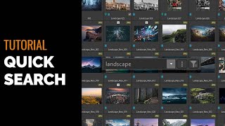 Quick Searches in ACDSee