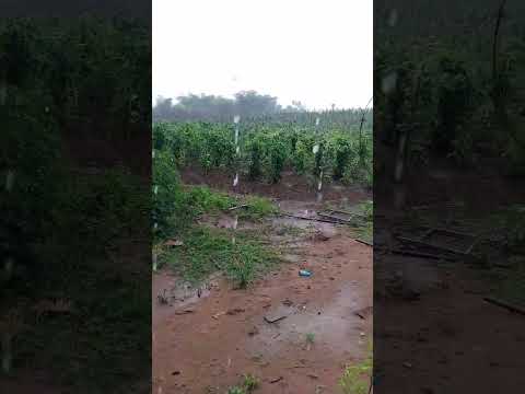 Alhandra PB com muita chuva