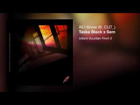 Video thumbnail for All I Know