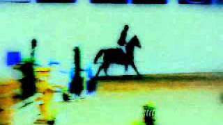 Blow-horses jumping and dressage