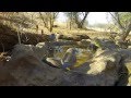Birdbath Activity