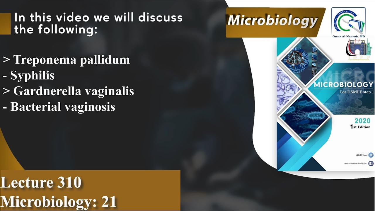 Treponema pallidum | Syphilis | Gardnerella vaginalis | bacterial vaginosis