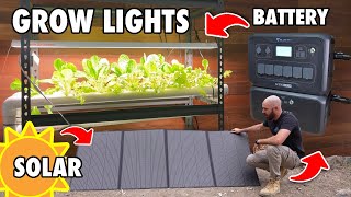 Growing Plants Indoors, with the Sun…