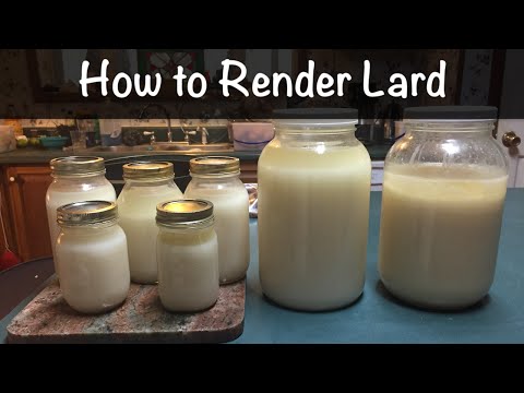 download lagu mp3 mp4 Pig Fat Oil Benefits, download lagu Pig Fat Oil Benefits gratis, unduh video klip Pig Fat Oil Benefits