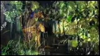 Osman Öztunç - Birader [ Video Klip ]