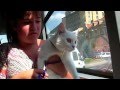In Autobuz