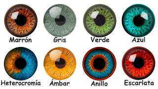 Los 8 Colores de Ojos y Qué Ventaja Evolutiva Esconden