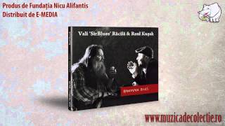 Handmade Blues- Vali Racila & Raul Kusak