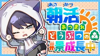 【あつまれどうぶつの森】時短ハピパラ朝活【長尾景/にじさんじ】