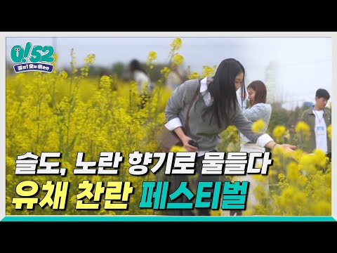 [생방송0!52] 슬도, 노란 향기로 물들다: 유채 찬란 페스티벌