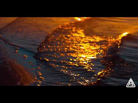 Anas otman Sweet Accordion ( New summer Song )